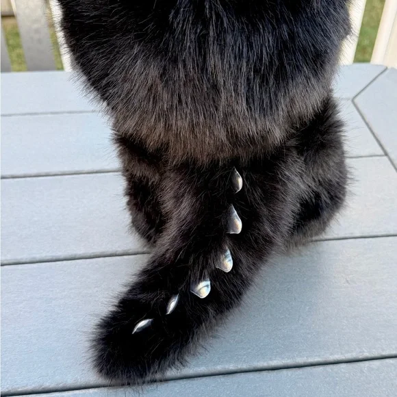 Black Labubu Zimomo - Picture 5 of 5